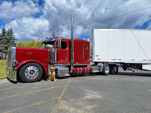 Suncoast Fleet Services - Visual