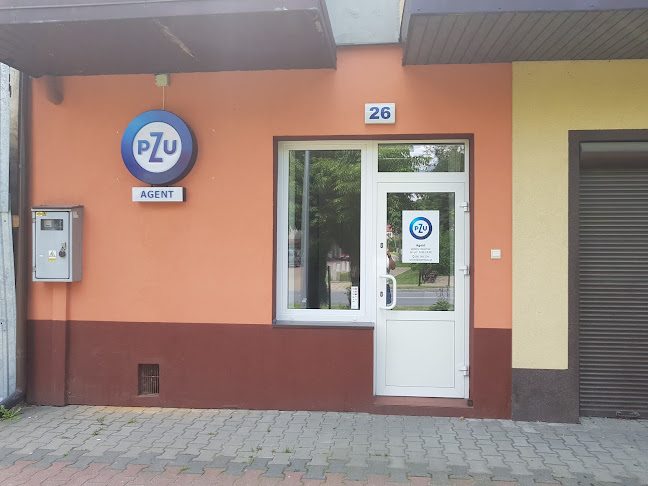 PZU Ubezpieczenia Izbica - Agent Stanisław Nizioł - Agencja ubezpieczeniowa