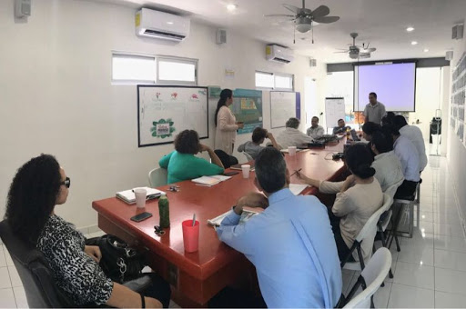 Zazil House Real Estate