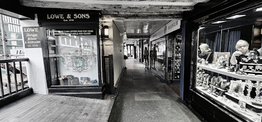 Lowe & Sons Logo