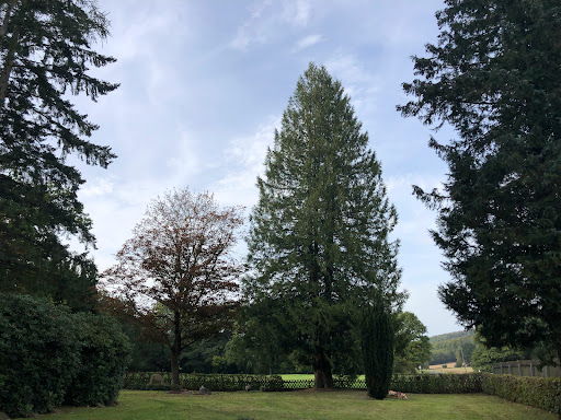 Friedhof Bursfelde - Thumbnail