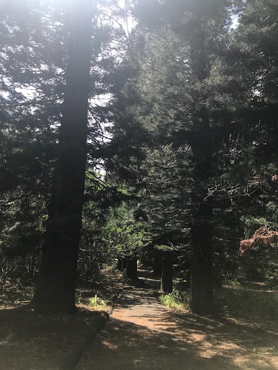 Village Trails & Lake Loop Trail