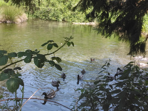 Nelson Falls RV Park - Thumbnail