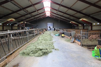 Photos of Agricultural University of Iceland