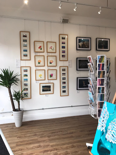 Gallery 455 - Visual
