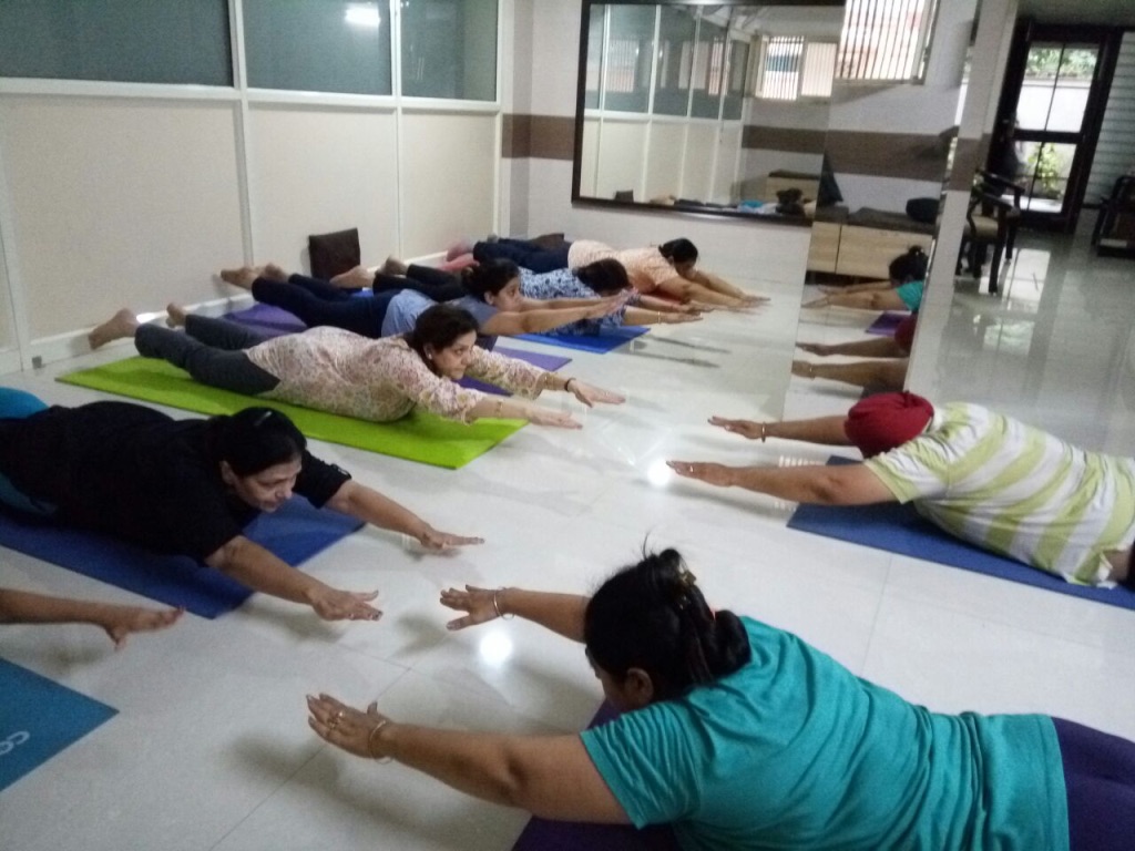 Alka S Yoga Classes In Person Online