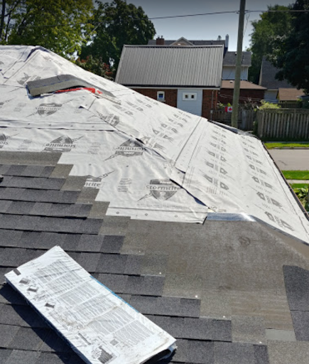 Newf's on Roofs - Thumbnail