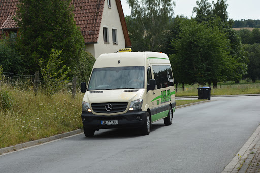 Taxi-Adler - Visual