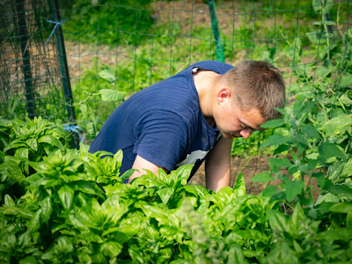 Photo de Résidence Les Jardins d'Arcadie à Isques (62360)