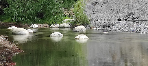 Waipara River Fossils - Thumbnail