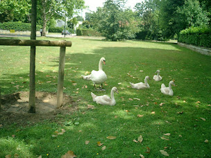 Photo n°4 de Agence Immobilière de L'Ouest à Le Vésinet (Agence immobilière)