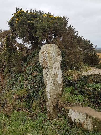 Brane Cross - Visual