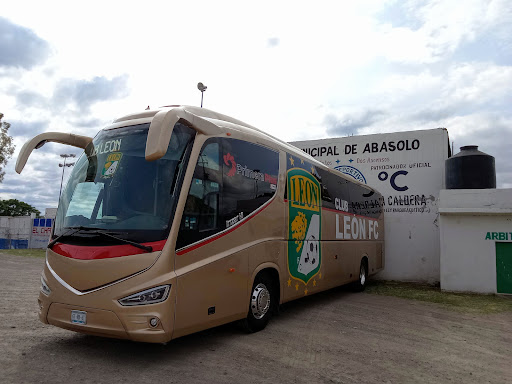 Estadio Abasolo - Thumbnail