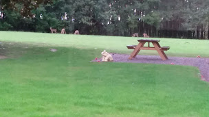 Photo n°2 de CHAMBRE D HOTES LA BASTIDE à Villenave (Chambre d'hôtes)