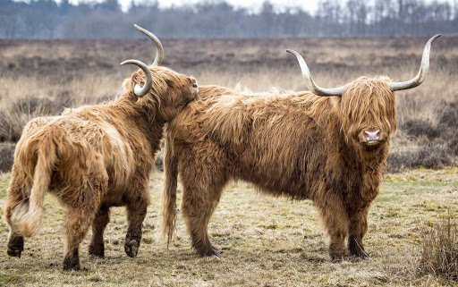 Landgoed Zorg & Natuur