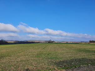 Photo n°24 de Le Cottage de Daphné à Jaulnay (Chambre d'hôtes)