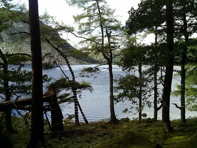 Lough Tay