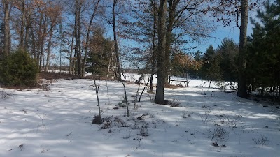 State Forest Island Camp Sites