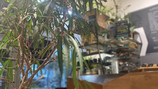 KALA Cafe - Visual