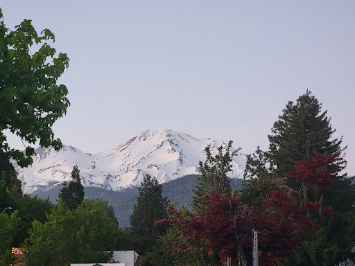 Shasta Vortex Adventures Gallery - United States