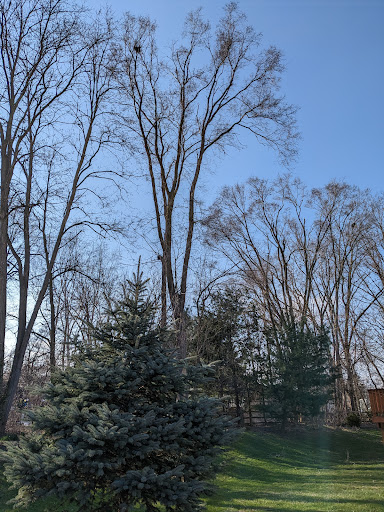 Whitmore Lake Preserve - Thumbnail
