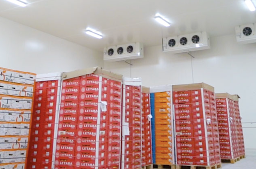 Majus Cold Storage - Visual