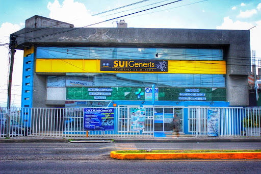 Sui Generis Academia