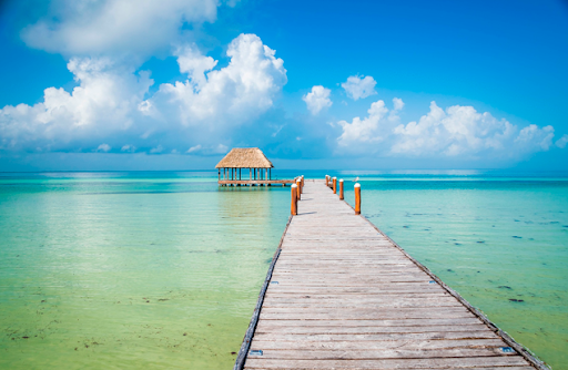 Agencia de Tours en Cancún - Pata de Peek Travel