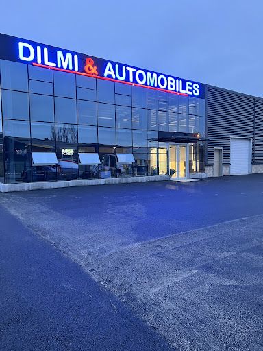 SAS DILMI & AUTOMOBILES / SERVICE CARTE GRISE RAPIDE Gallery - France