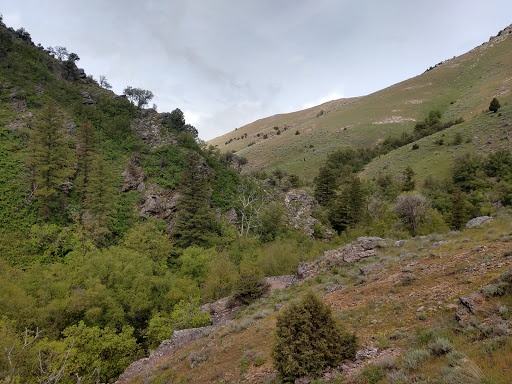 Smithfield Campground - Visual