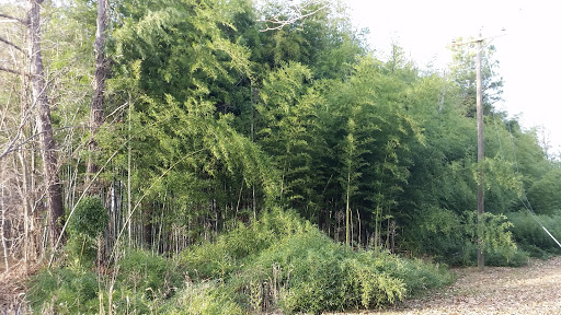 North Ashland Railside Park and Trail - Thumbnail