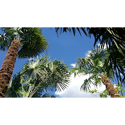 Photo n°39 de Camping Le Rocheyrol à Gravières (Terrain de camping)