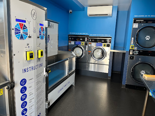 Liquid Laundry - Thumbnail