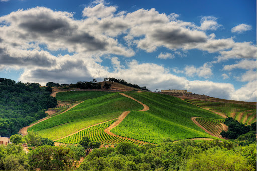 DAOU Family Estates - Thumbnail