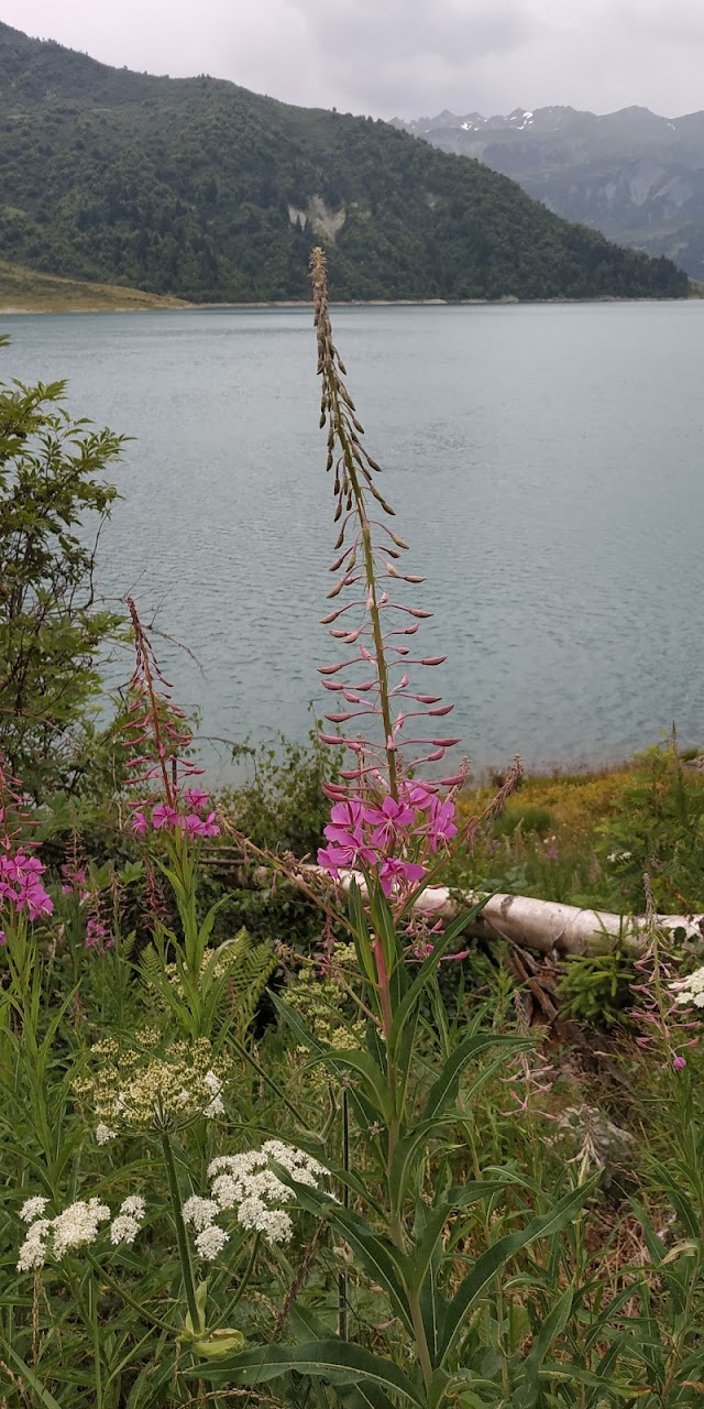 Lac de Roselend