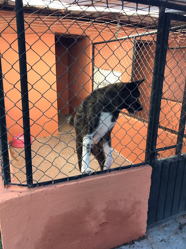 Clínica Veterinaria Can-Cat