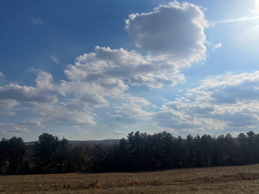 Kuster Mill - Visual