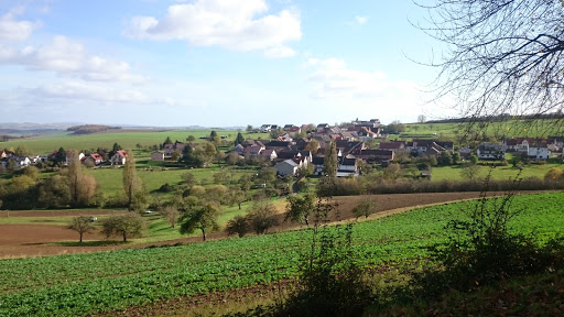 Ortsgemeinde Homberg