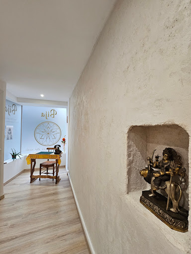 Bija Kriya Yoga Gallery - France