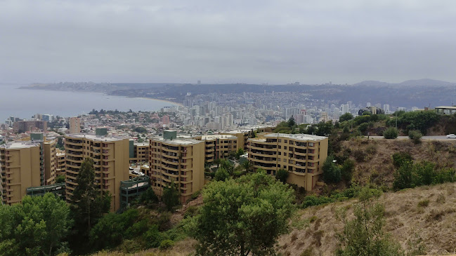 Opiniones de Mirador Pablo Neruda en Viña del Mar - Museo