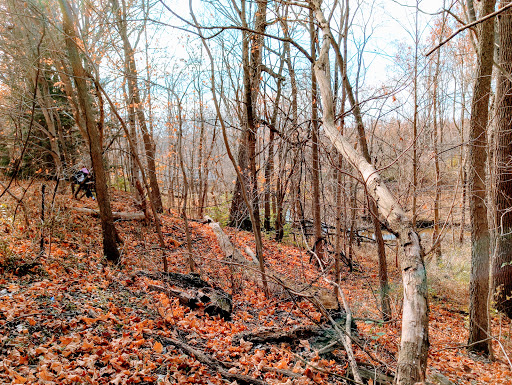 Fish Creek Wildlife Area