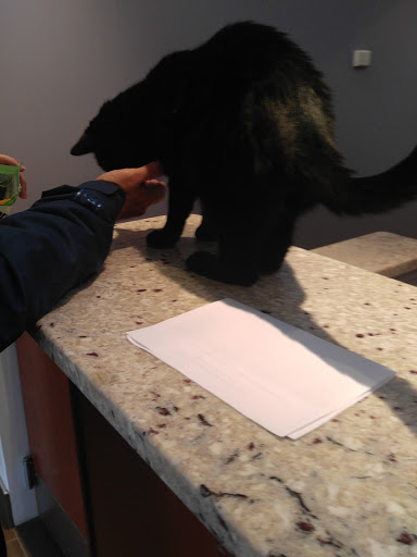 Charlestown Veterinary Hospital - Thumbnail