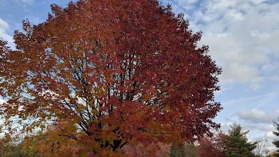 Wayne Fitzgerrell State Recreation Area