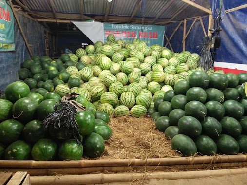 Pondok Semangka MAKMUR BUAH 1, Author: Yoyon Waryono