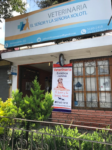 Veterinaria en Coyoacan El Señor y la Señora Xolotl