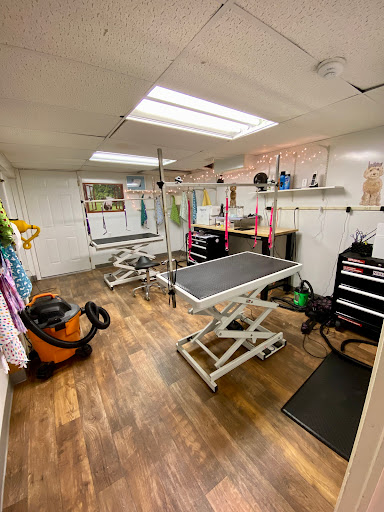 Trumbull Animal Hospital Grooming - Thumbnail
