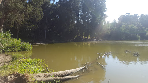 Don Castro Regional Recreation Area - Thumbnail