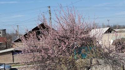 Photos of Hveineken