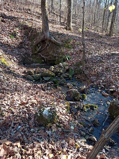 Rattlesnake spring - Visual