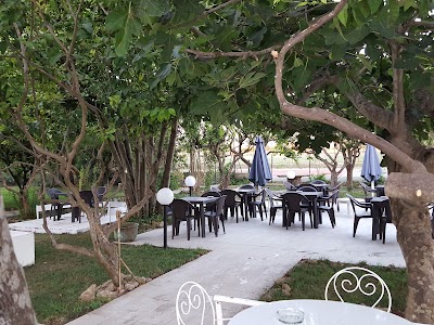 Photos of Villa Nicodemo